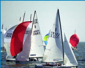 Several sailboats with white and brightly colored sails compete on open water under a clear sky. The boats are closely grouped, and the scene is lively with wind-filled sails.
