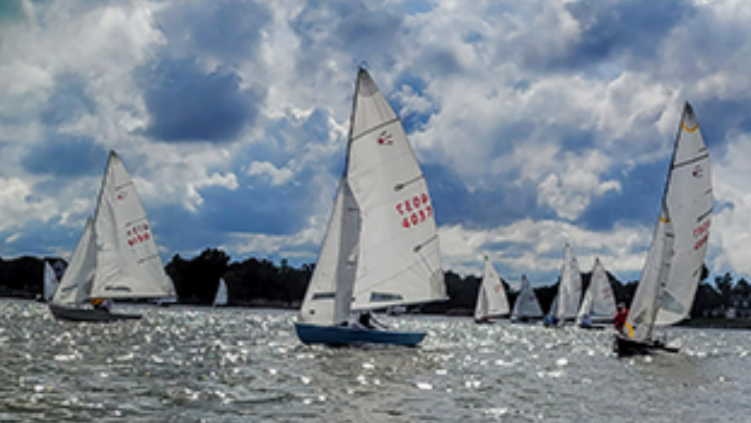 Several sailboats with white sails glide across a shimmering body of water under a partly cloudy sky, with trees and buildings visible in the distant background.