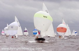 Several sailboats with colorful spinnakers race on choppy water under a cloudy sky. The boat in front displays the number 5213. Text at the bottom reads 'www.flyingscotracing.com'.