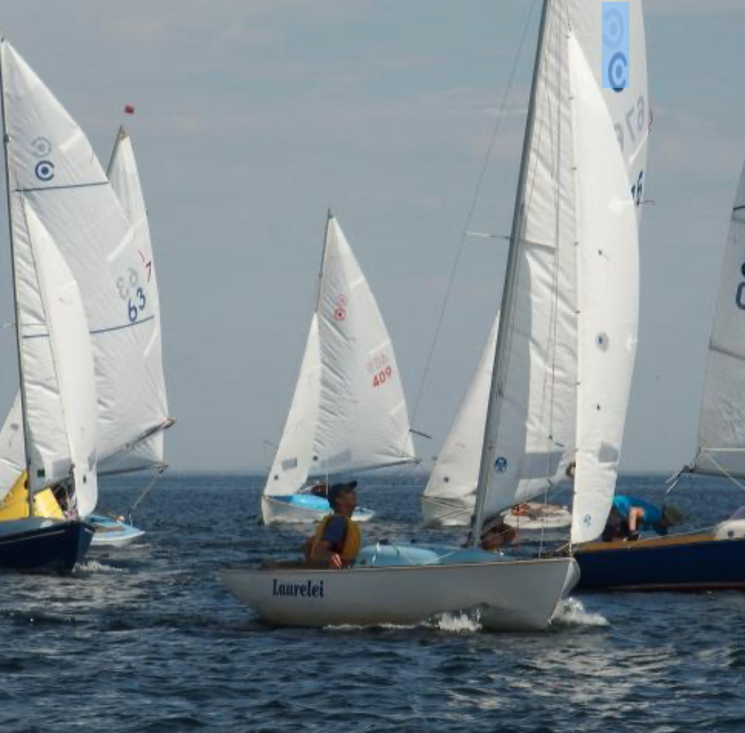 Several small sailboats with people aboard are sailing close together on a body of water under a clear sky. The boat in the foreground is named "Laurelei," and all boats have white sails.
