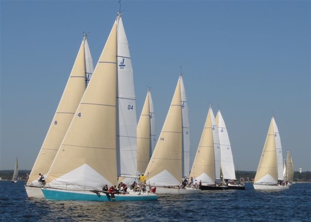Several sailboats with cream-colored sails race on a calm blue sea under a clear sky, each carrying a crew. Other sailboats are visible in the background near the horizon.