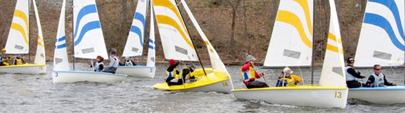 Several small sailboats with colorful blue and yellow striped sails are racing on a lake, each with two people onboard, as they tilt slightly in the wind near a wooded shoreline.
