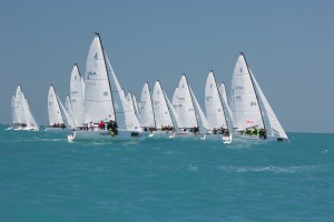 A group of sailboats with white sails race closely together on bright turquoise water under a clear blue sky.