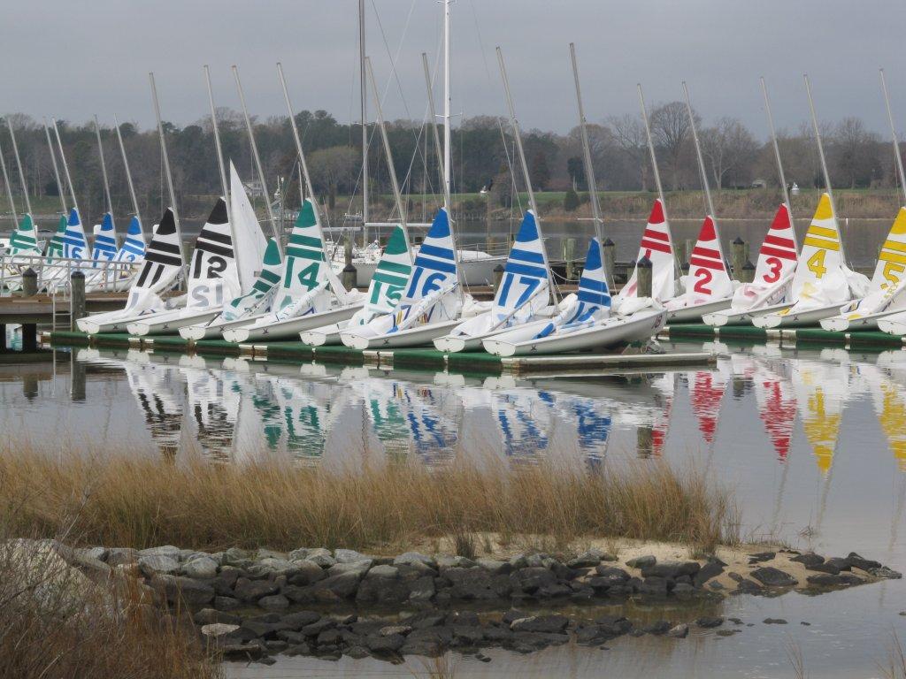 A row of small sailboats with colorful striped sails, each marked with numbers, are docked by a calm waterfront. Their reflections appear in the water, with reeds and rocks in the foreground.
