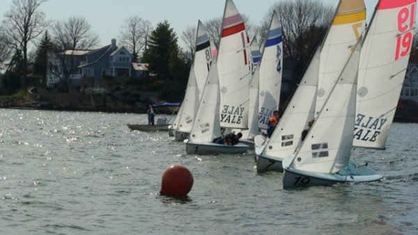 Several sailboats with 'YALE' written on their sails race near a red buoy on a sunny day, with houses and trees visible on the shoreline in the background.