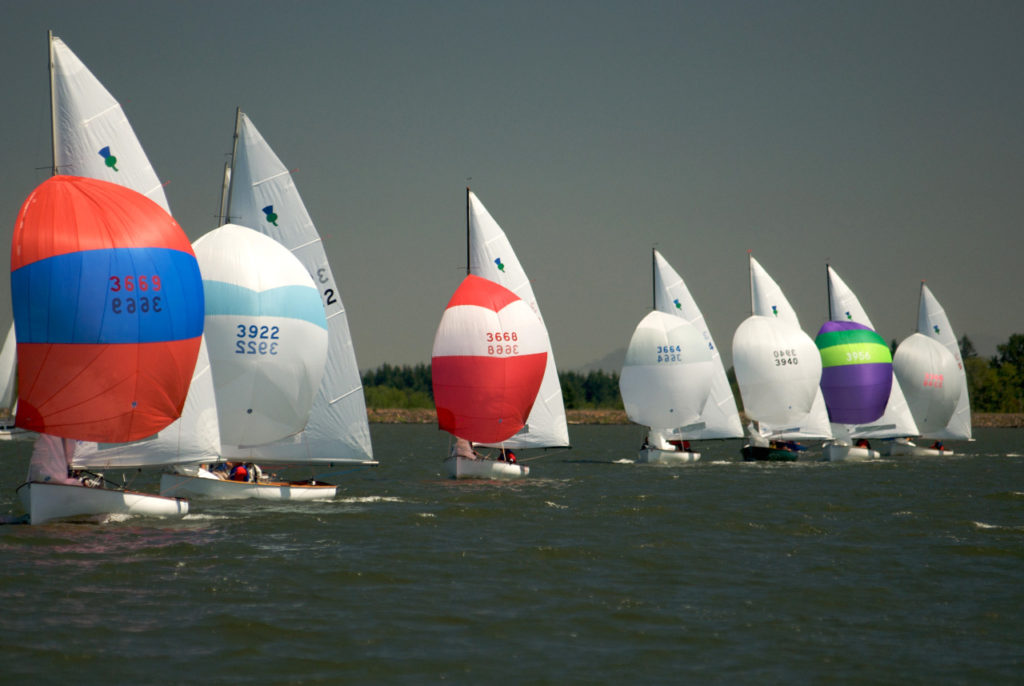 Six sailboats with colorful spinnakers race side by side on a large body of water under a clear sky, with a tree-lined shore visible in the background.