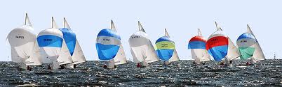 A group of sailboats with colorful spinnakers, mostly blue and white, race closely together on choppy water under a clear sky.