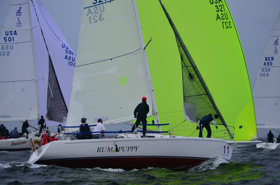 Sailboats racing on choppy water, with the main boat named “RUM PUPPY” in the foreground. Crew members adjust sails, while other boats with colorful sails and numbers race nearby under a cloudy sky.