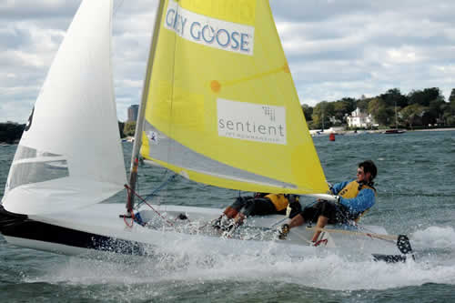 Two people sail a small white sailboat with a yellow sail labeled 'SENTIENT' and 'GAY GOOSE' on choppy water near a shoreline with trees and buildings in the background.