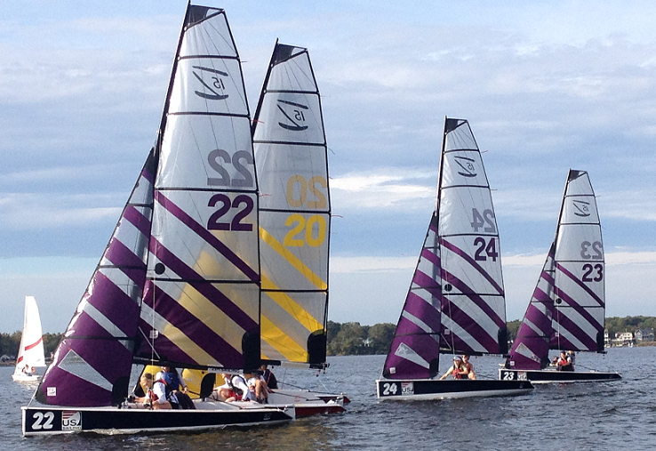 Several sailboats with purple and silver striped sails race on a lake. The sails have large numbers and letters like '22', '20', '24', and '23'.