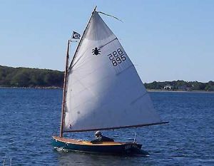 A small sailboat with a single white sail glides on calm blue water near a shoreline with trees. The sailboat has the numbers “895 825” and a small flag with a black symbol. The sky is clear and sunny.