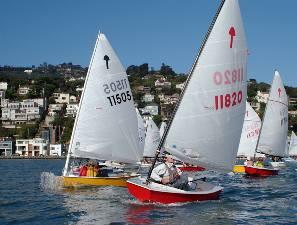 Several small sailboats with numbered sails race on a sunny day near a shoreline lined with houses and trees, with blue sky and calm water.