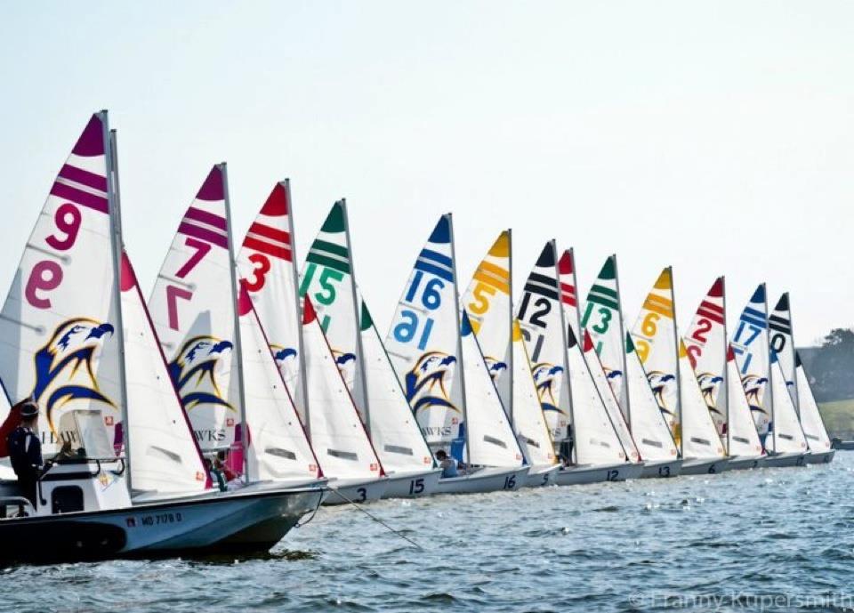 A row of sailboats with colorful, numbered sails lines up on the water, each boat displaying the image of a hawk and the word 'HAWKS.' The sky is clear, and the water appears calm.