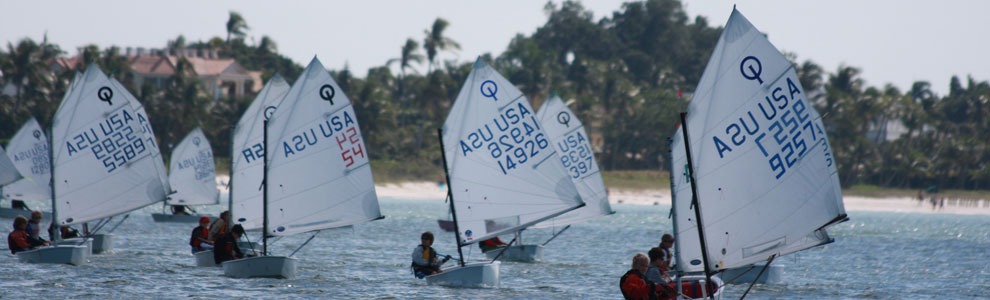 Several small sailboats with white sails, marked “USA,” are racing on the water near a tropical shoreline with palm trees and distant buildings in the background. Sailors are visible in each boat.