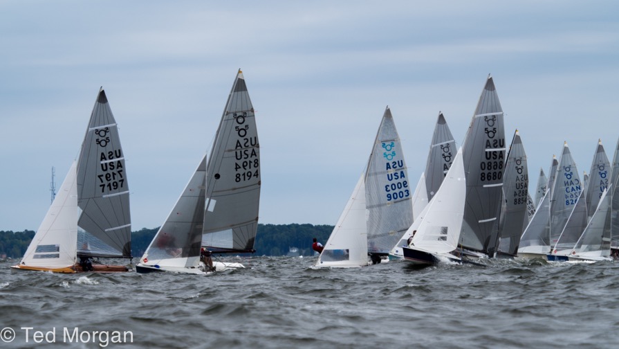 A group of small sailboats with white sails, marked with numbers and 'USA,' race closely together on a choppy lake under a cloudy sky. The shoreline and trees are visible in the background.