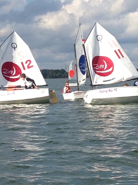 Three small sailboats with white sails and 'Zim' logos are sailing close together on a lake. Young sailors are steering the boats, with trees and a cloudy sky visible in the background.