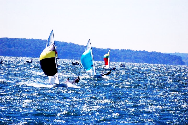 Sailboats with colorful sails race across choppy blue water on a sunny day, with green hills visible in the background.
