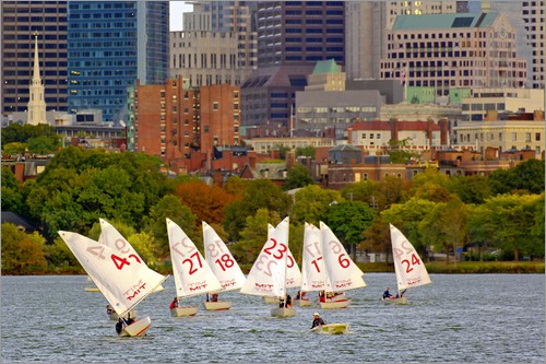 Small sailboats with numbered sails race on a river, with several participants visible. Behind them are green trees and tall city buildings, creating an urban backdrop.