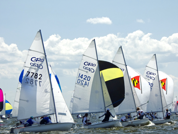 Several small sailboats with white sails are racing on choppy water under a blue sky with scattered clouds; each sailboat has different numbers and some colorful details on their sails.