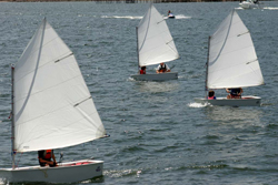 Optimist-Dinghie-250