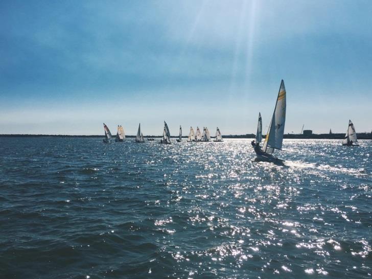 A group of sailboats glides across sparkling blue water under a bright, clear sky. Sunlight reflects off the waves, and the horizon is visible in the distance.