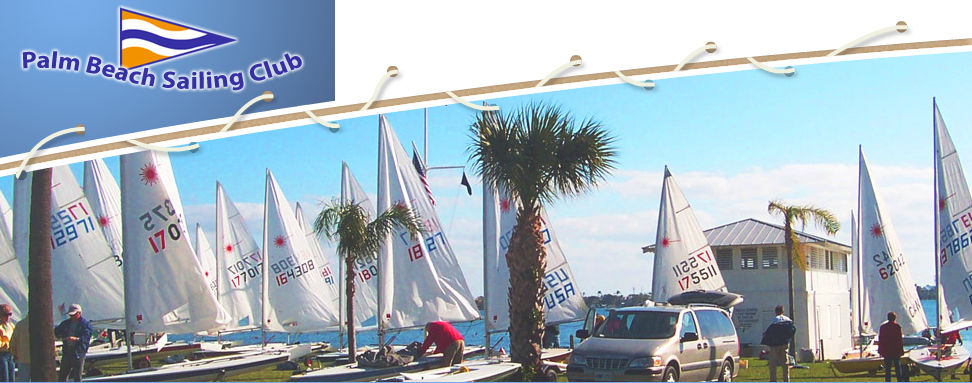 Sailboats with numbered sails are lined up on grass near the water at Palm Beach Sailing Club, with a palm tree, a white building, and people nearby under a sunny blue sky.