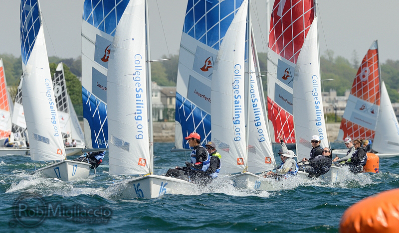 Sailboats with “CollegeSailing.org” on their sails race closely together on choppy water, with crews focused and leaning out. Buildings and trees are visible in the background under a clear sky.