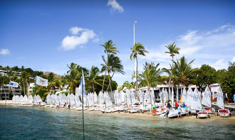 A tropical beach with palm trees and many small sailboats lined up on the sand. People are preparing boats, and flags wave in the breeze under a sunny blue sky. Buildings are visible among the trees in the background.