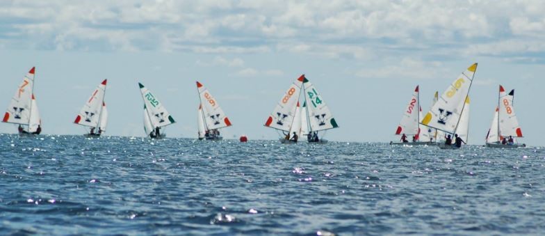A group of small sailboats with colorful sails and numbers race on a calm blue sea under a partly cloudy sky. The horizon and distant boats are visible in the background.