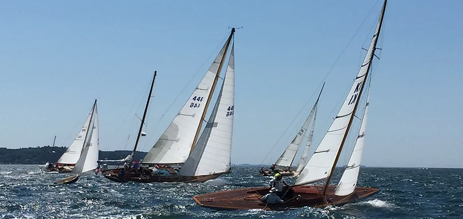 Several sailboats with white sails race across choppy blue water on a sunny day, with a distant shoreline and clear sky in the background.