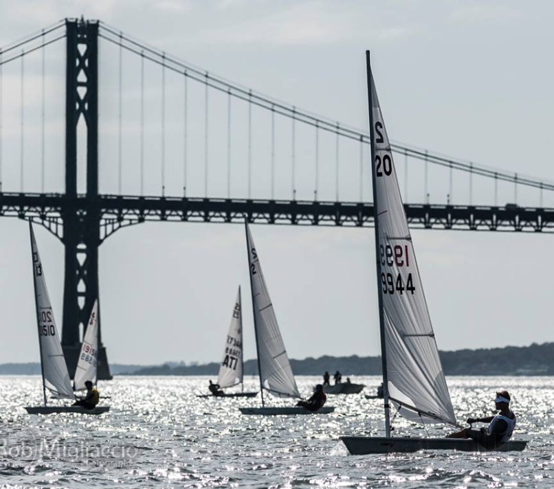 Several small sailboats with upright sails glide across a shimmering body of water, with a large suspension bridge in the background against a bright sky.
