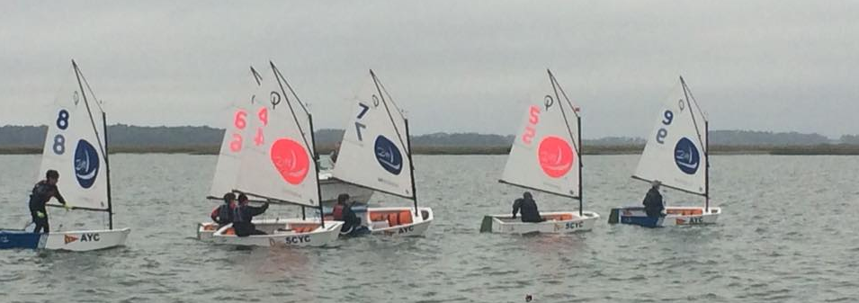 Five small sailboats with young sailors are racing on a cloudy day. The boats have white sails with numbers, and the water is calm with a tree-lined shore in the background.