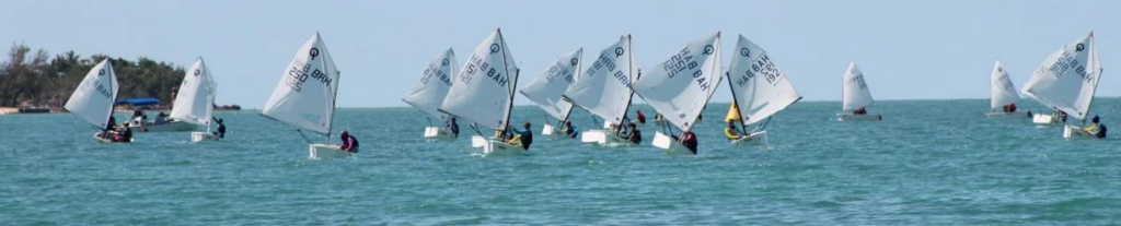 Small sailboats with white sails and people onboard are scattered across a calm blue body of water, with land and trees visible in the background under a clear sky.