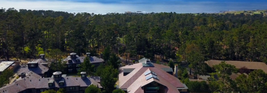 Aerial view of several buildings with brown roofs surrounded by pine trees, with the ocean and coastline visible in the background under a clear blue sky.