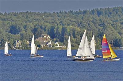 Several sailboats with white sails and one colorful sailboat are sailing on a blue lake, with houses and a dense green forest visible in the background under a partly cloudy sky.