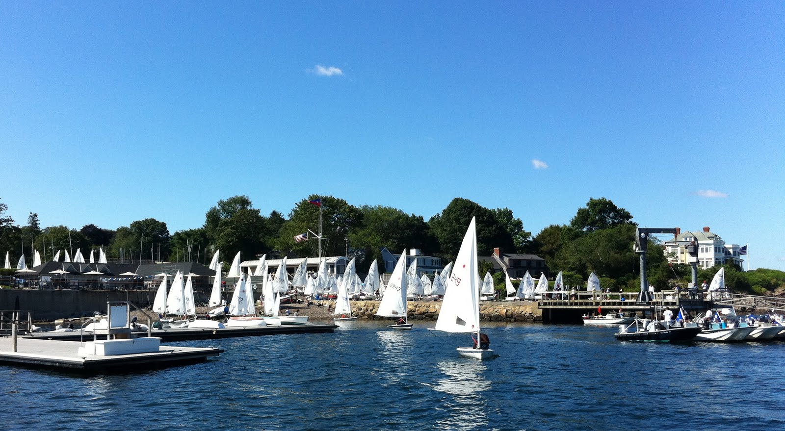 A marina with numerous small sailboats docked and several sailboats sailing on the water, with a backdrop of trees, buildings, and a clear blue sky.