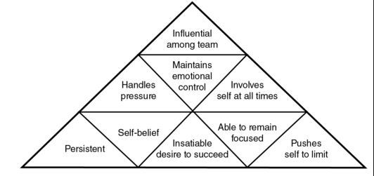 A triangular diagram with three levels showing traits of success: base—Persistent, Self-belief, Insatiable desire to succeed, Pushes self to limit; middle—Handles pressure, Maintains emotional control, Able to remain focused, Involves self at all times; top—Influential among team.