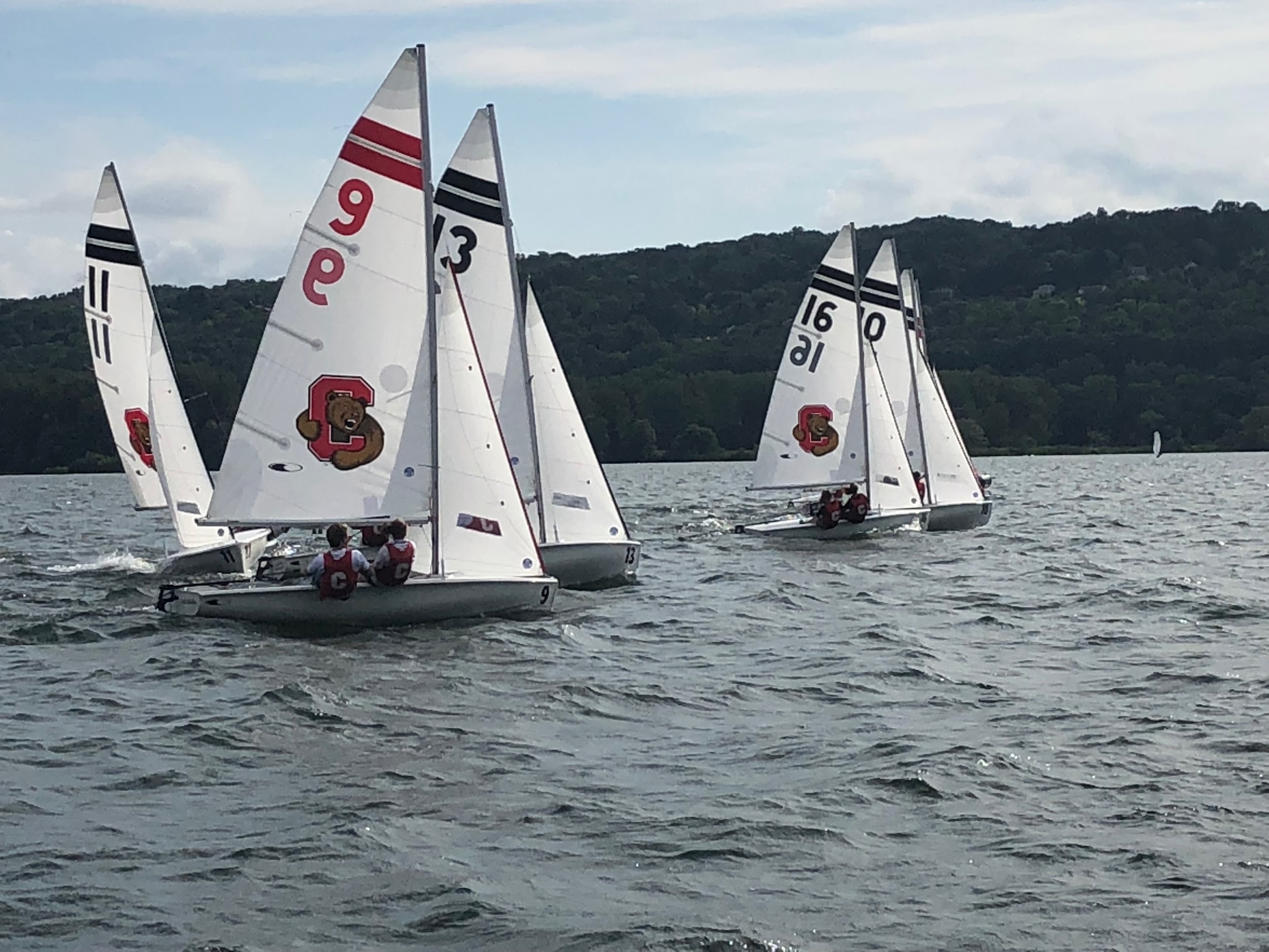 Several small sailboats with white sails and red numbers compete on a lake. Each boat has two sailors wearing life jackets, and a forested shoreline is visible in the background.