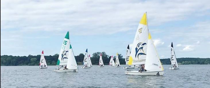 Several small sailboats with colorful sails race across a calm lake under a partly cloudy sky, with trees lining the distant shore.