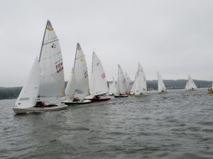 Several small sailboats with white sails race closely together on a gray, overcast day, with hilly land and trees visible in the distant background across the water.