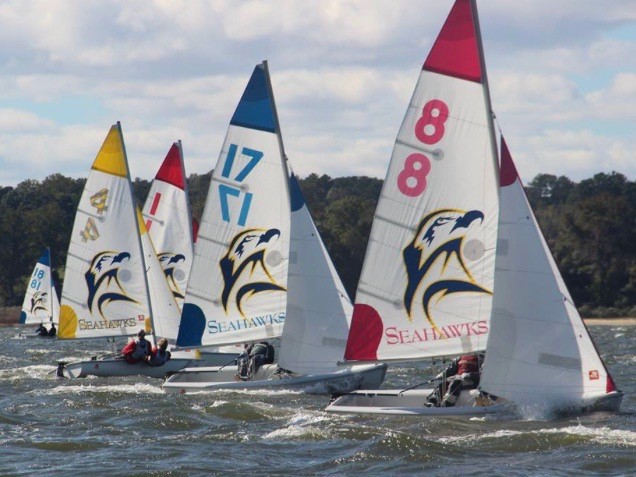 Four small sailboats with colorful numbered sails race on choppy water. Each sail displays a large seahawk logo and the word "Seahawks." The shoreline and trees are visible in the background.