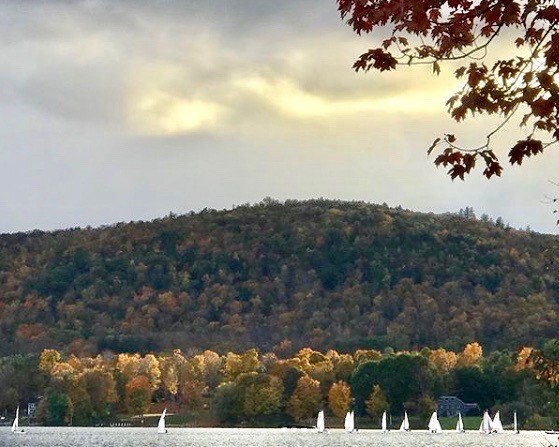 A row of small white sailboats glides across a lake, with colorful autumn trees and a forested hill in the background under a cloudy sky. Red leaves frame the upper right corner of the image.