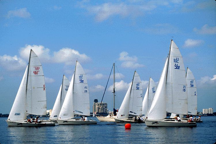 Several sailboats with white sails are racing on calm water under a blue sky with scattered clouds. A few buildings and a buoy are visible in the background.