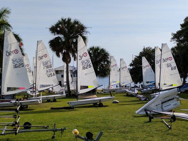 Several small sailboats with upright sails are parked on a grassy area near palm trees and water, likely prepared for a sailing event or regatta. Some sails display numbers and country codes.