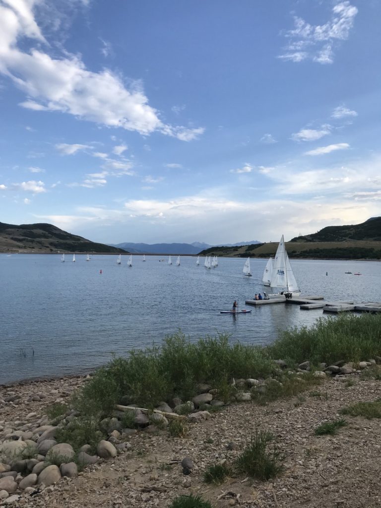 Sailboats glide across a calm lake surrounded by hills, with a rocky shoreline and grassy plants in the foreground under a partly cloudy sky.