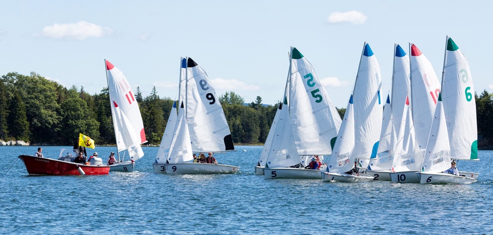 Several small sailboats with white sails and colorful numbers are racing on a lake near a red motorboat with people holding a yellow flag, with trees and blue sky in the background.
