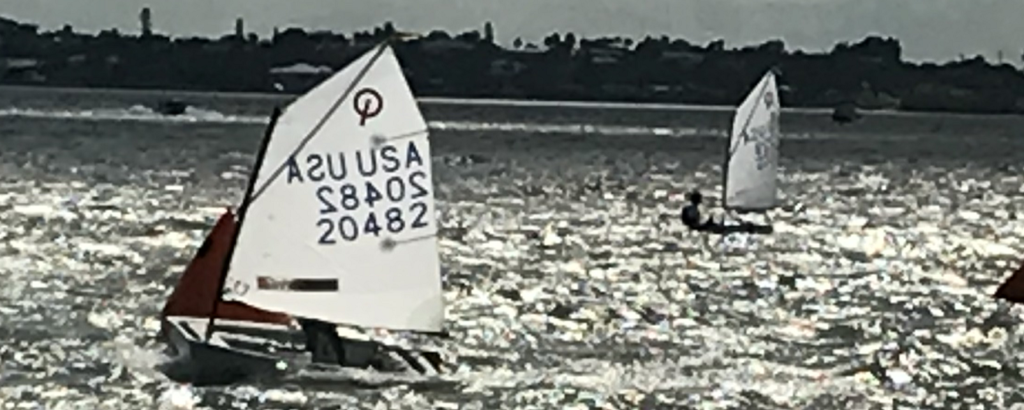 Two small sailboats with white sails, both labeled "USA 20482," sail on a shimmering body of water with a dark shoreline and silhouetted trees in the background.