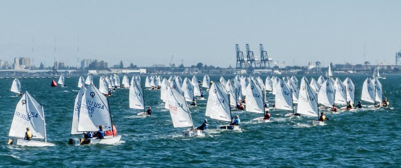 Dozens of small sailboats with white sails participate in a regatta on blue water, with a city skyline, cranes, and buildings visible in the distant background under a clear sky.