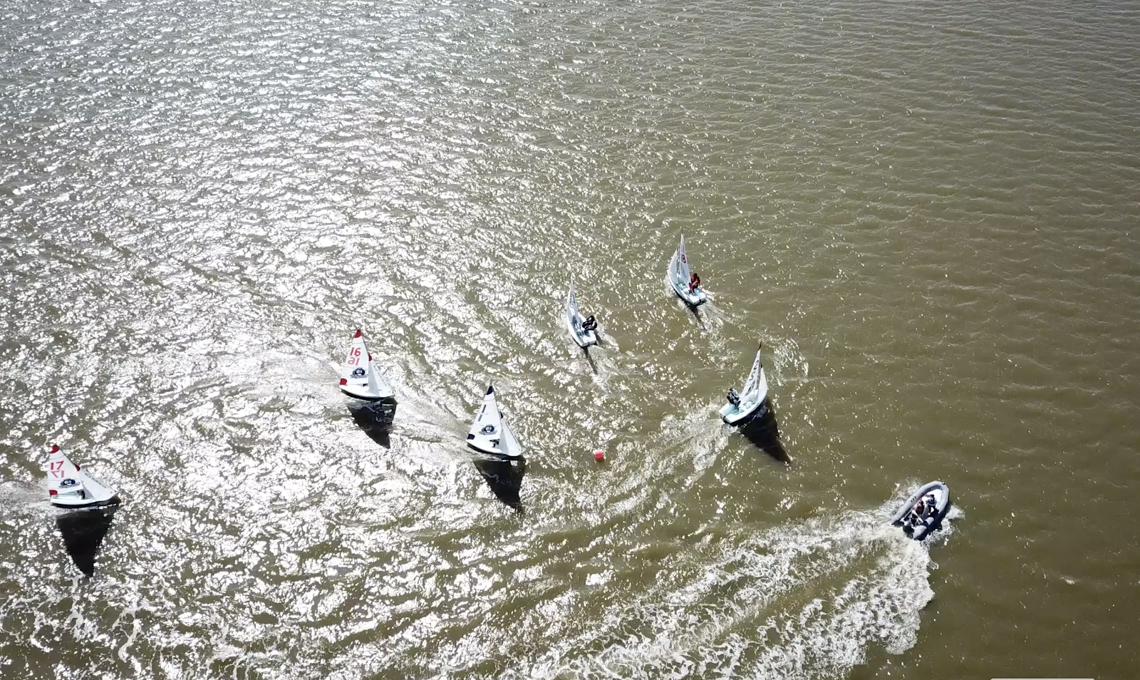 Aerial view of five small sailboats racing around a red buoy on sunlit, brownish water, with one motorboat nearby creating a white wake.
