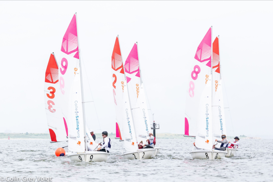 Four small sailboats with colorful sails, each with two people onboard, race on a body of water. The sails display large numbers and College Sailing logos. The background shows a cloudy sky and distant land.